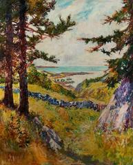 Across the Meadow, Maine 9