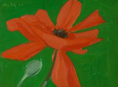 Poppy 3