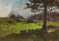 View from the Shade 2