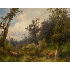 Deer in Forest 7