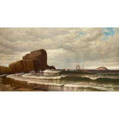 Rocky Shoreline 8