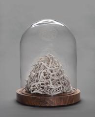 Needle in a haystack 1