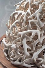 Needle in a haystack