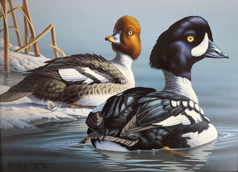 An original signed acrylic on board painting by American artist Ron Louque (1952-) titled "Barrow's Goldeneye", 1989. This painting was an official entry for the 1989 Federal Duck Stamp Contest. It was recently signed by Louque lower left. Louque