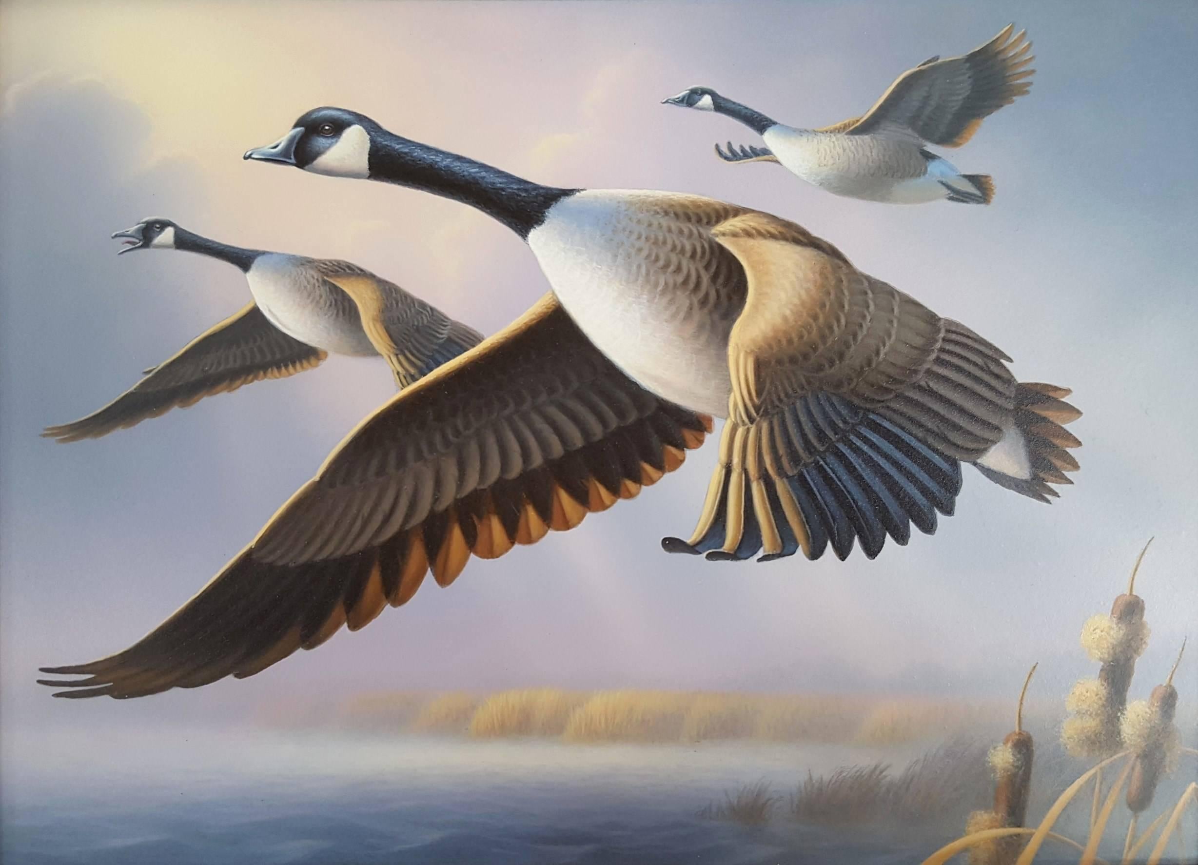 Ron Louque Animal Painting - Canada Geese /// Contemporary Duck Bird Wildlife Ornithology Painting Animal Art