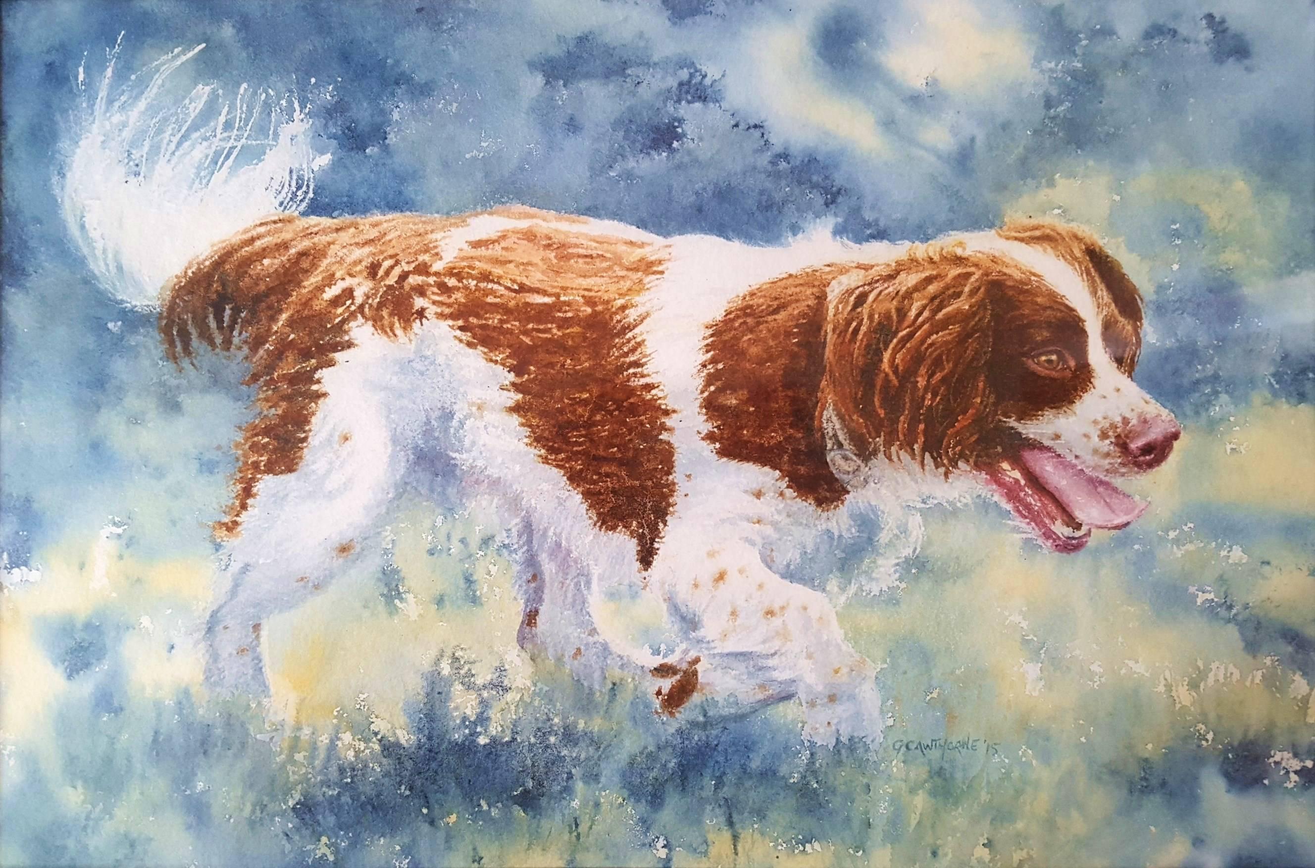 Épagneul enjoué /// Femme artiste britannique contemporaine Aquarelle Chien Animal de compagnie