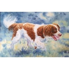 Eager Spaniel 2
