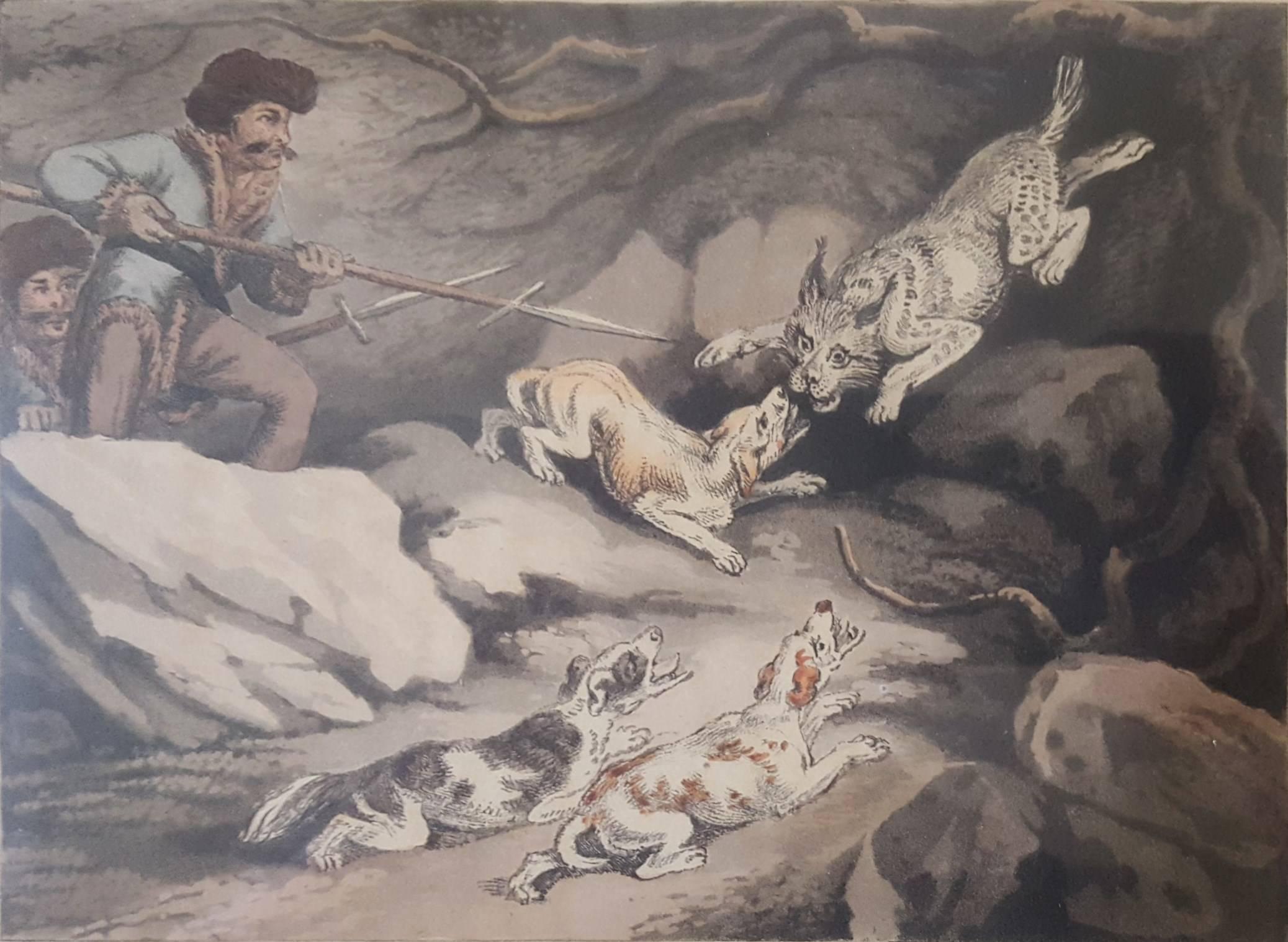 Samuel Howitt Animal Print - Hunting the Tiger Cat
