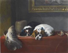 The Cavalier's Pets