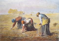 Gleaning in Belgium