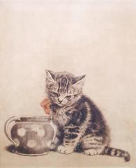 Kitten with Pot