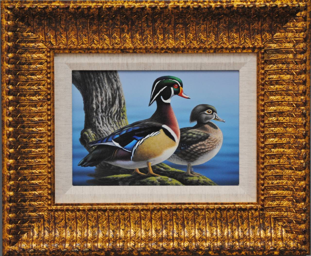 wood ducks for sale