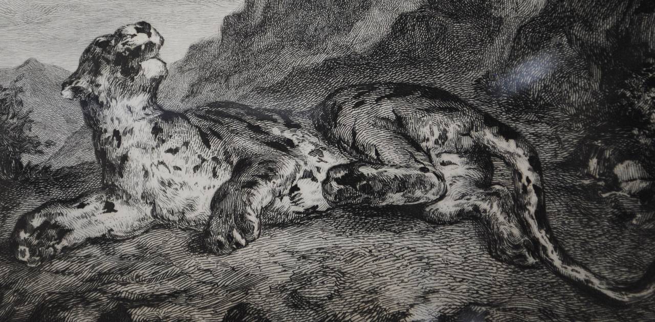 Tiger - Barbizon School Print by Eugene Delacroix