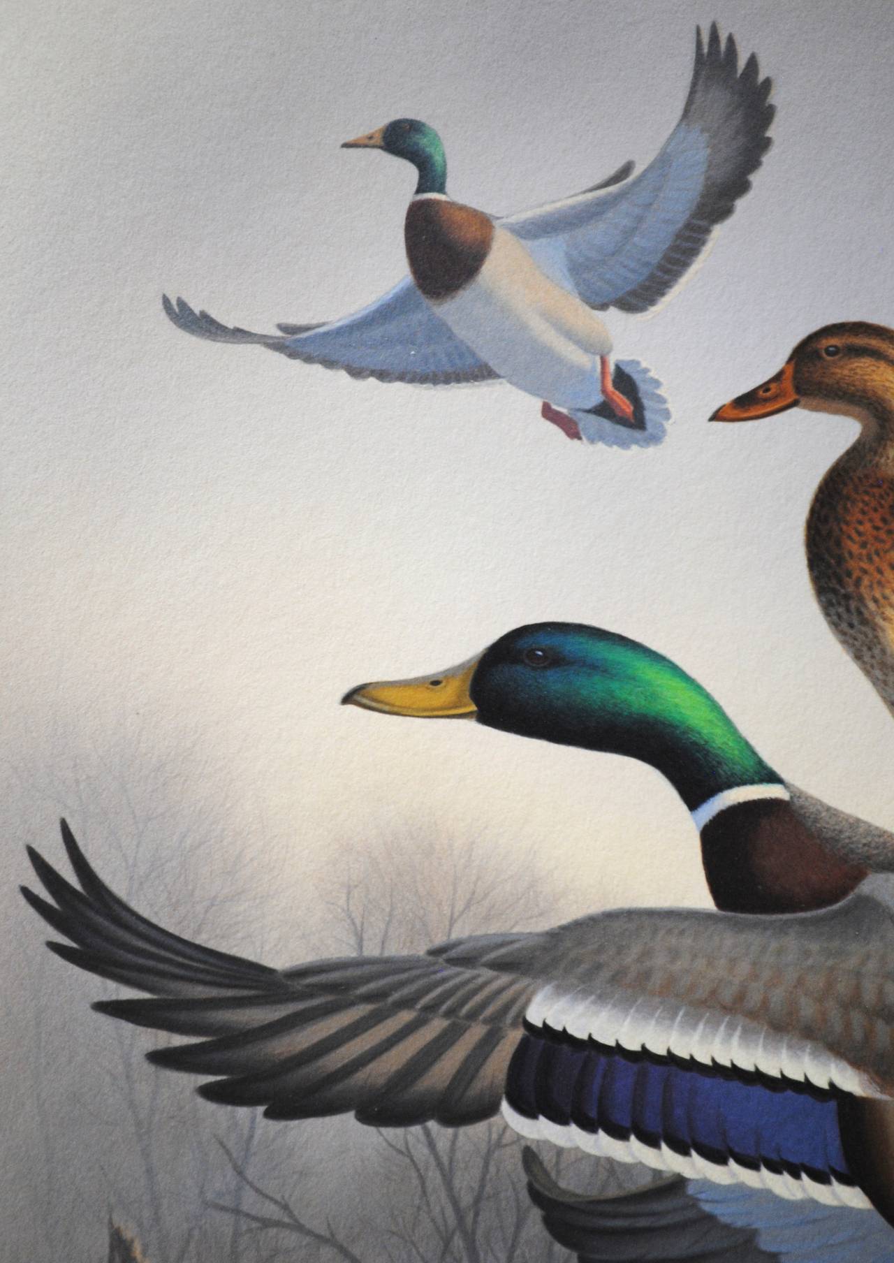 Mallards Rising - Realist Painting by Ron Louque