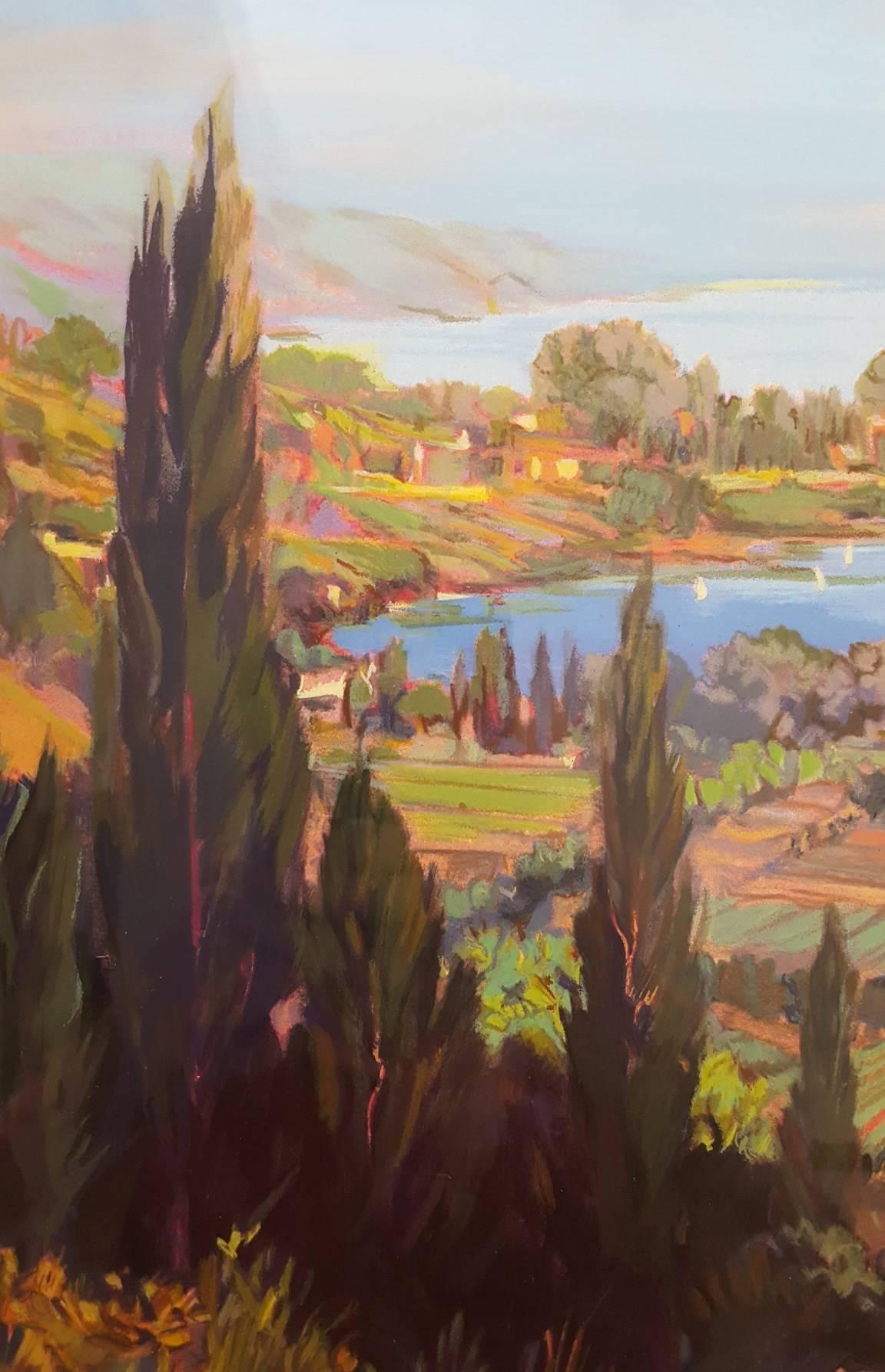 Coastal Vineyard 1