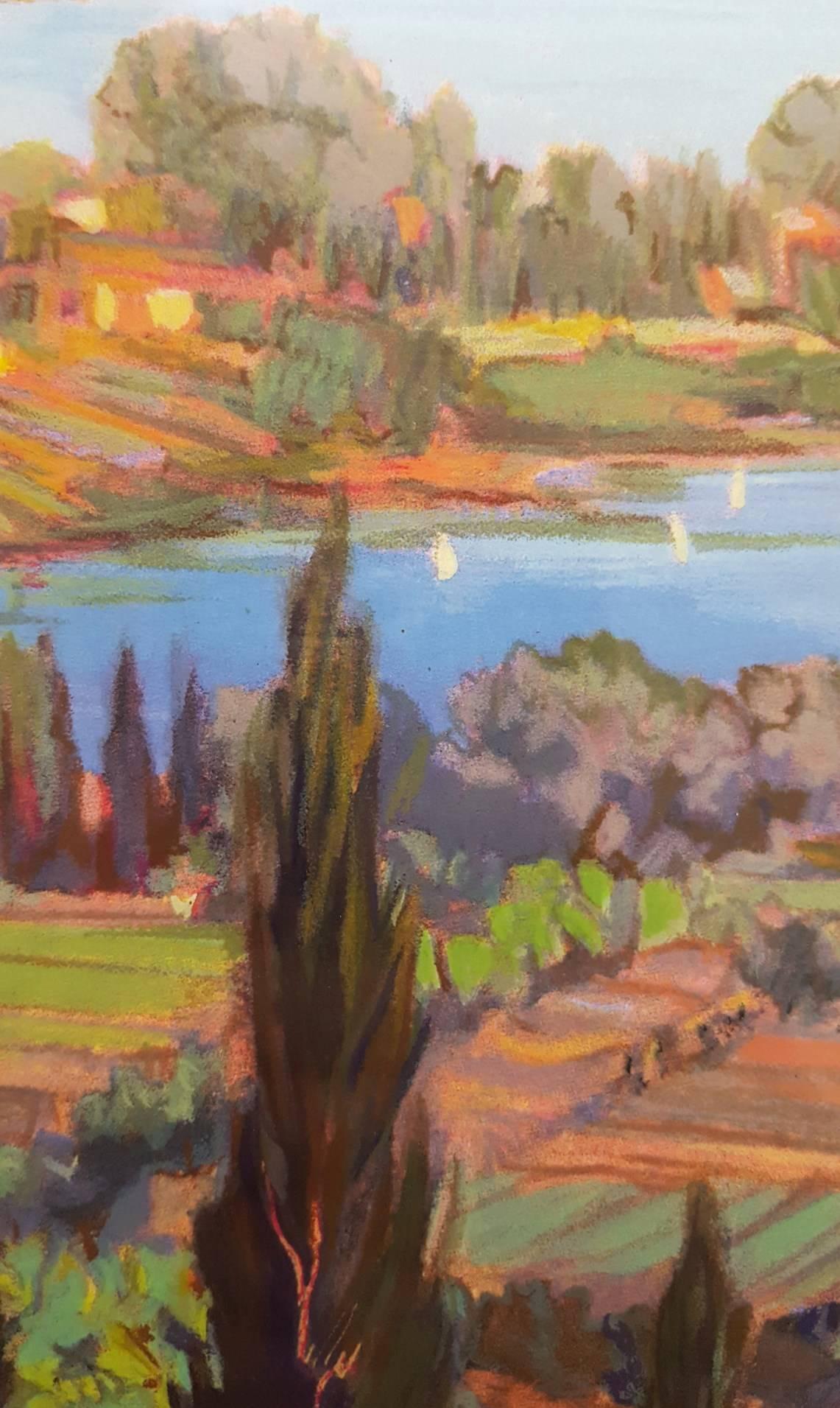 Coastal Vineyard 2