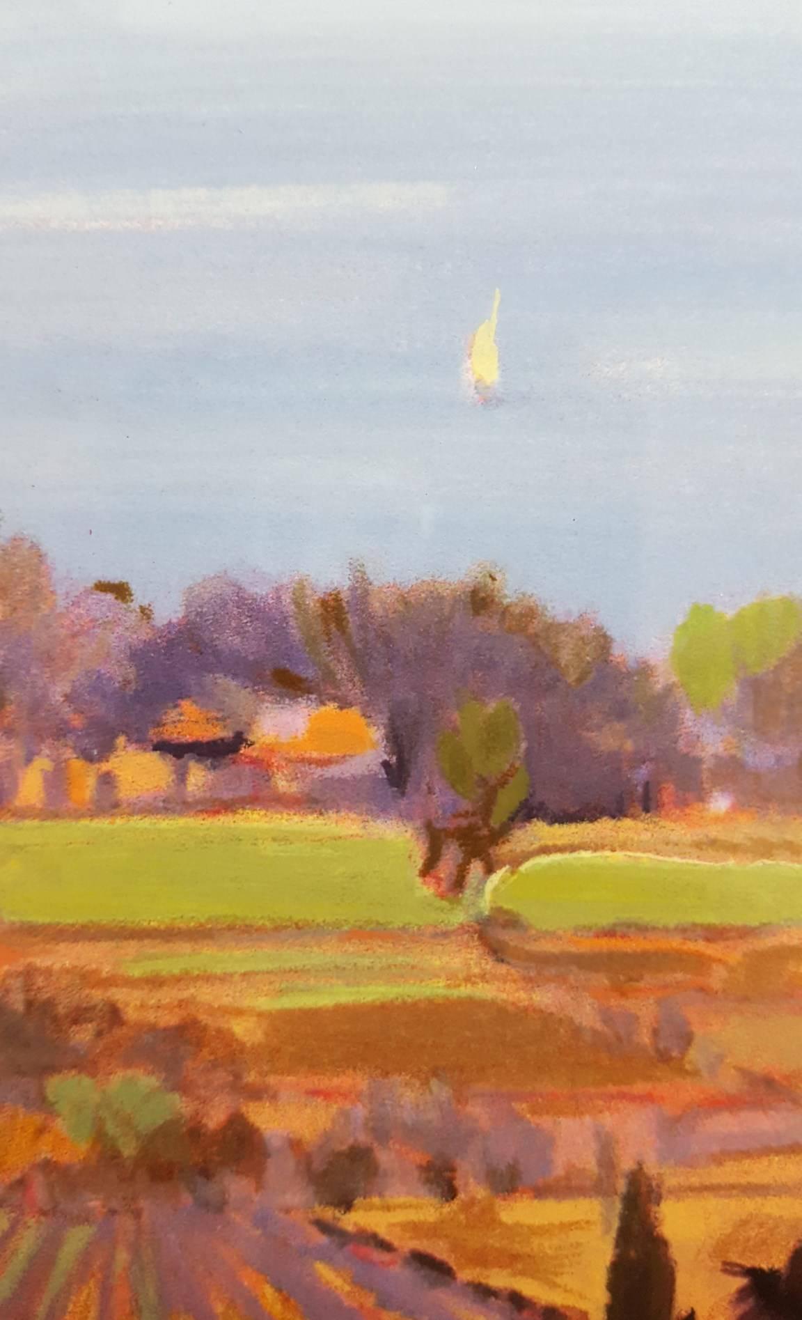 Coastal Vineyard 3