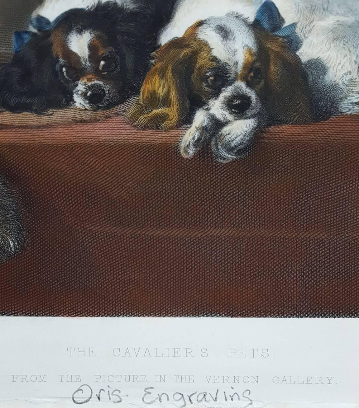 The Cavalier's Pets 1