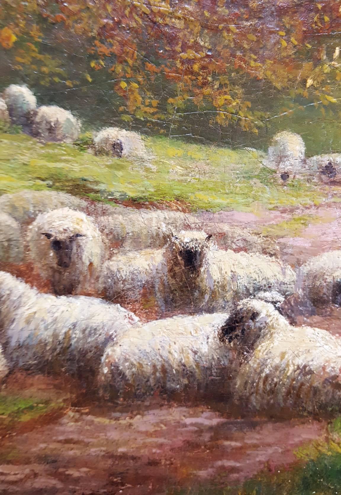 Fall Landscape with Sheep Resting 5