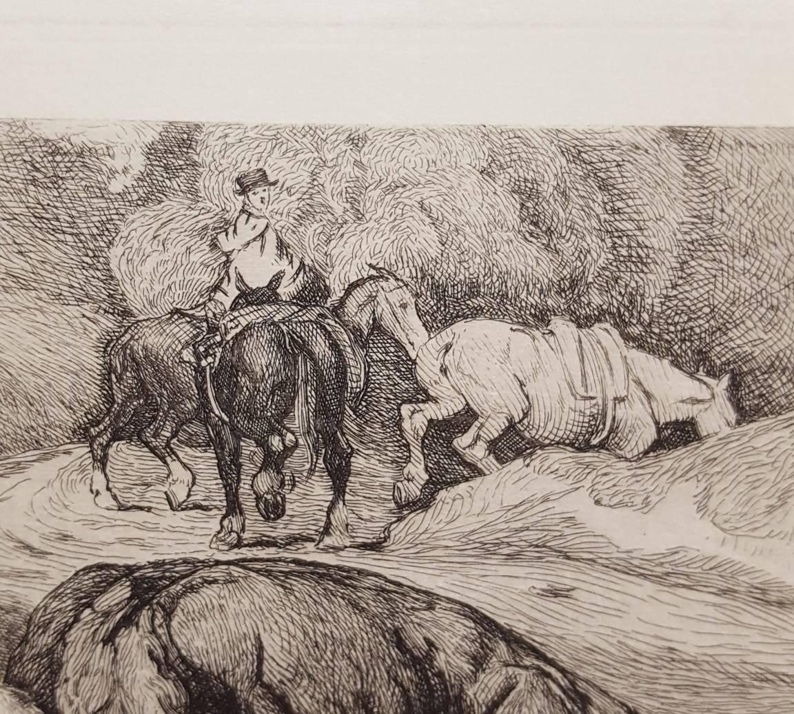 Bulls Fighting /// Antique Victorian Animal Landscape Etching Landscape Horse For Sale 1