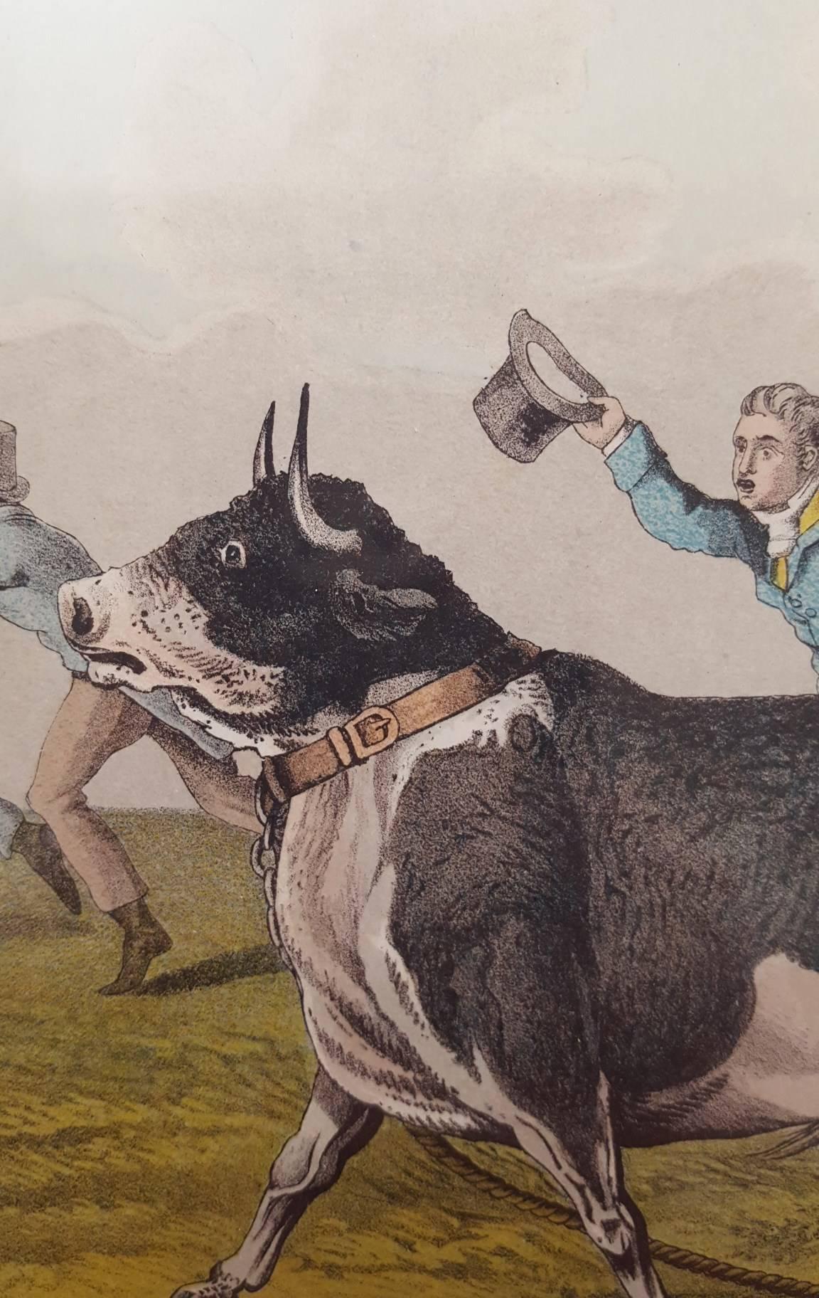 Bull Baiting - Beige Animal Print by Henry Alken