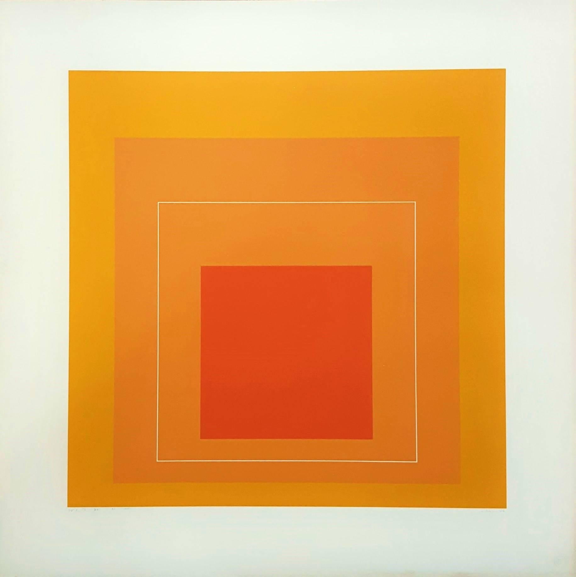 WLS VI (White Line Squares Series I) - Print by Josef Albers