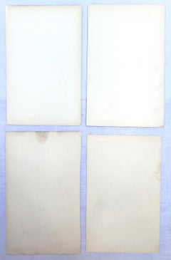 Conjunto de cuatro litografías ornitológicas coloreadas a mano de aves "El Ibis