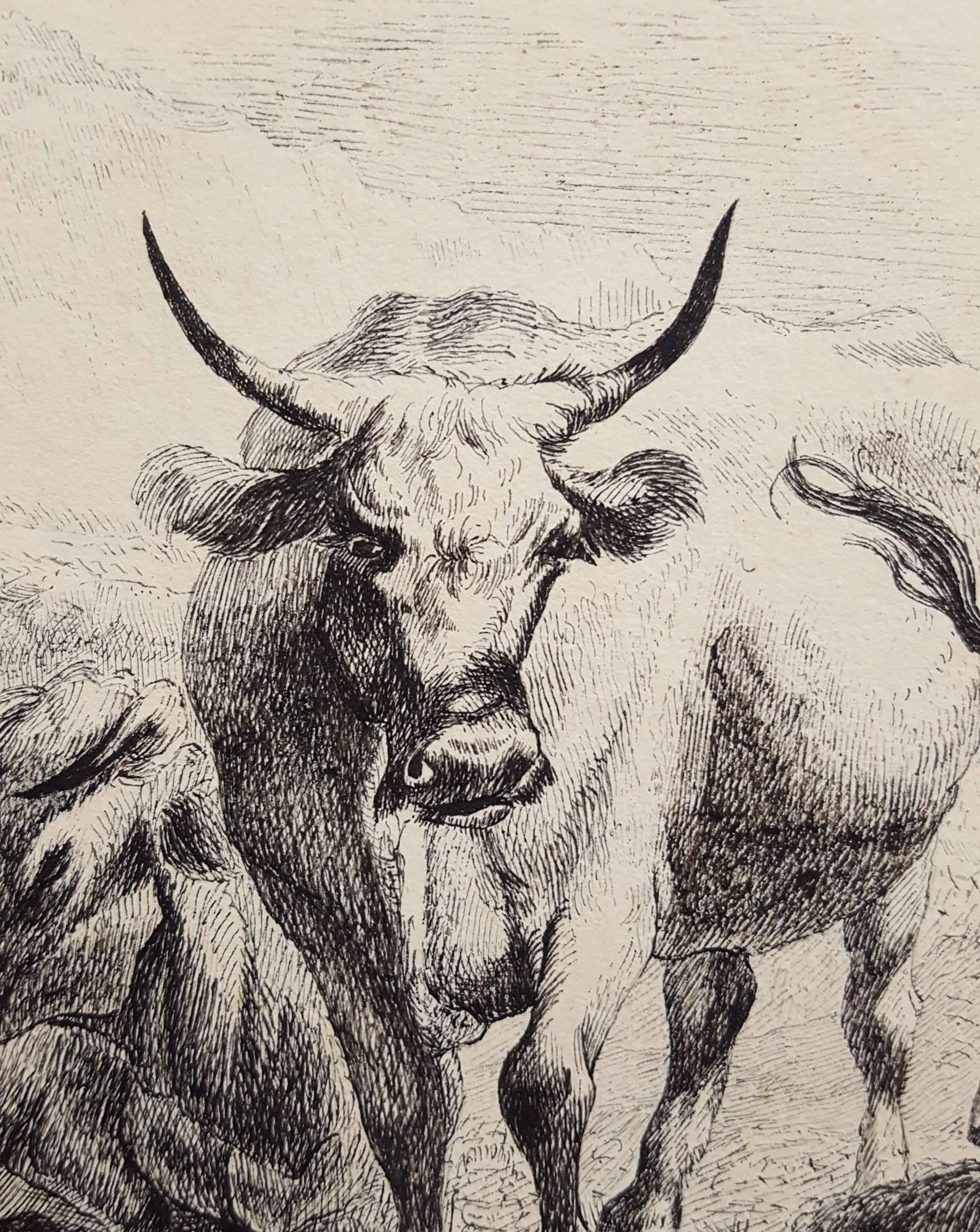 Herdsmen Resting /// Tierkunst Landschaft Bauernhof Kühe Stier Ziege Arbeit auf Papier Tinte (Alte Meister), Art, von (After) Nicolaes Berchem