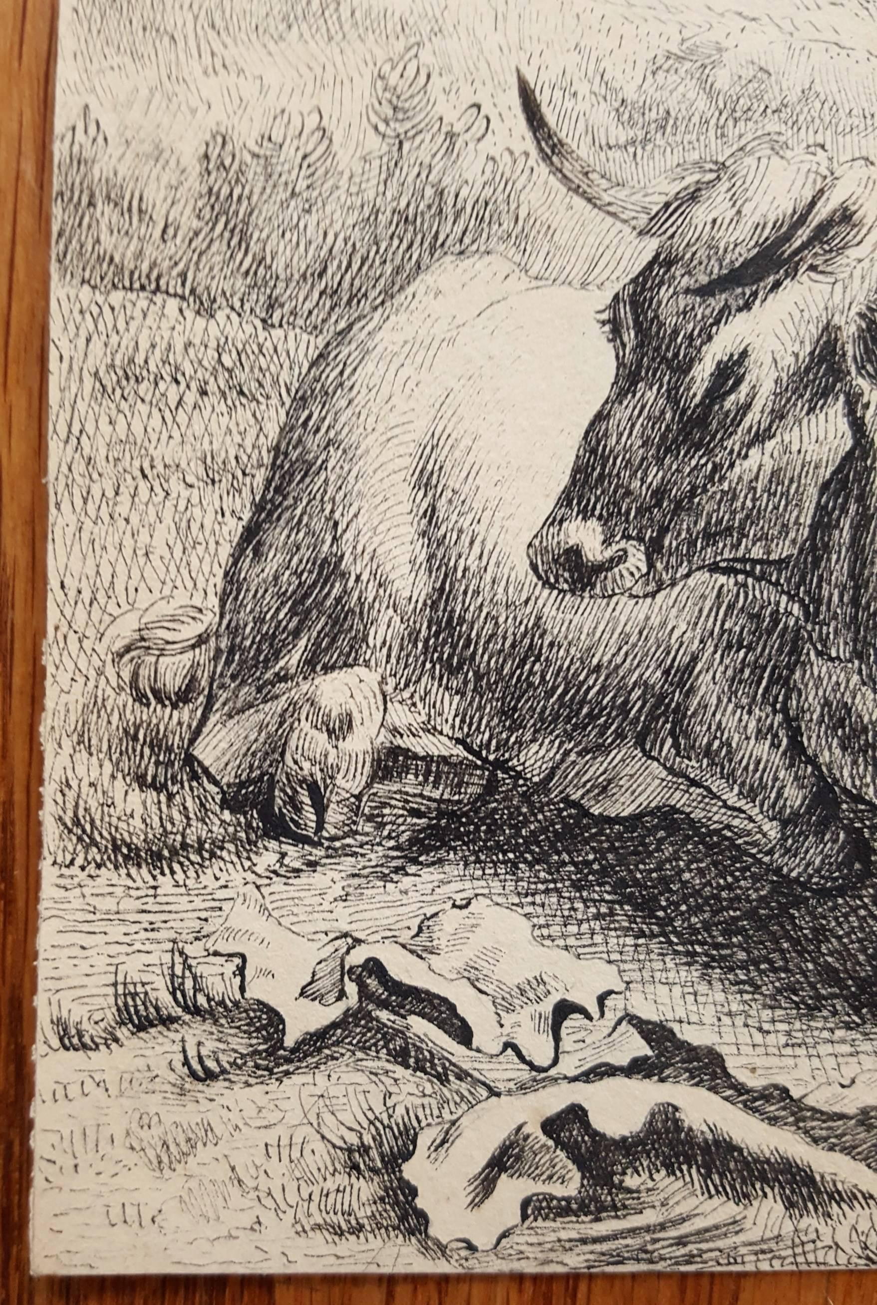 Herdsmen Resting /// Animal Art Landscape Farm Cows Bull Goat Work on Paper Ink For Sale 3