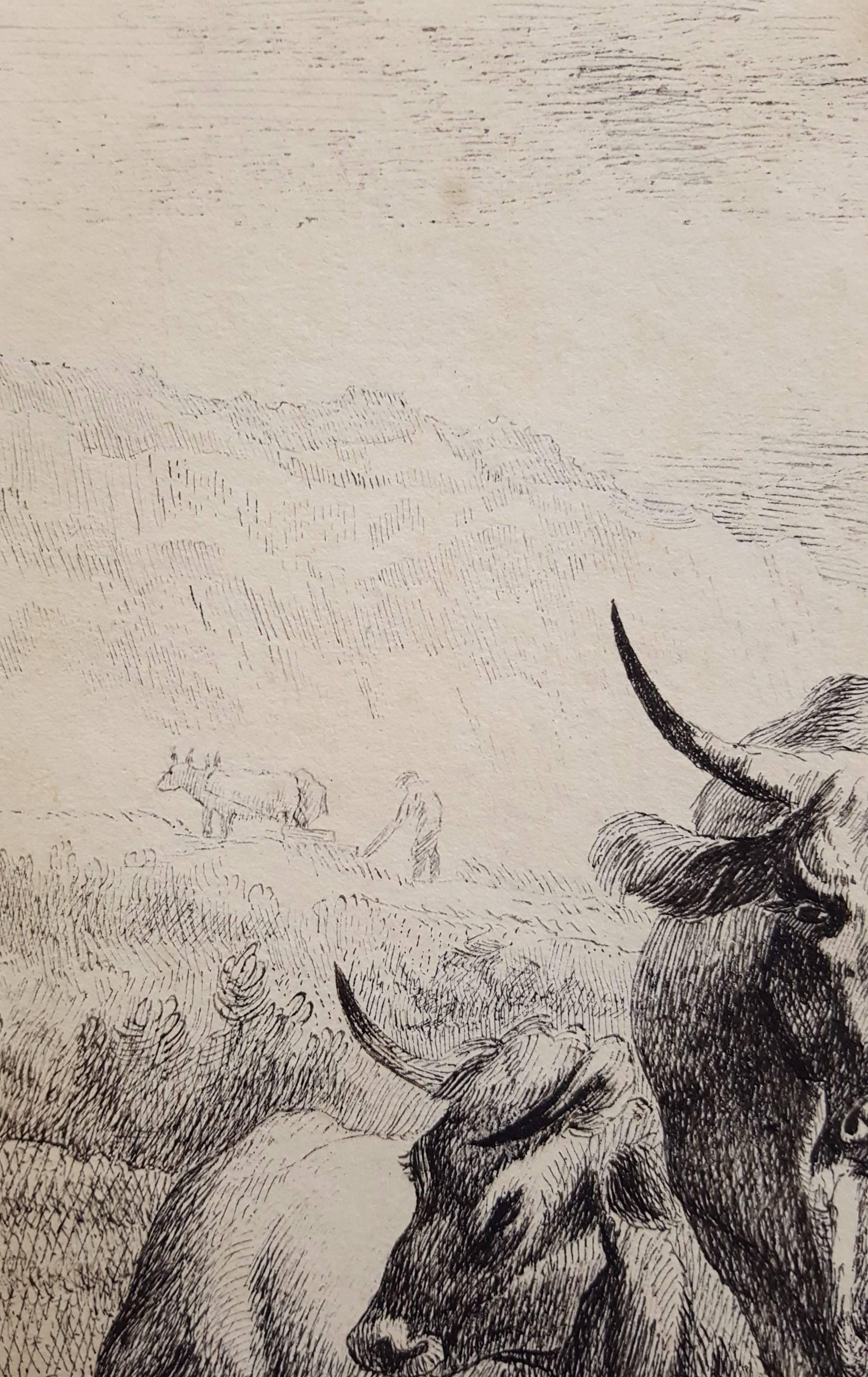 Herdsmen Resting /// Animal Art Landscape Farm Cows Bull Goat Work on Paper Ink For Sale 7
