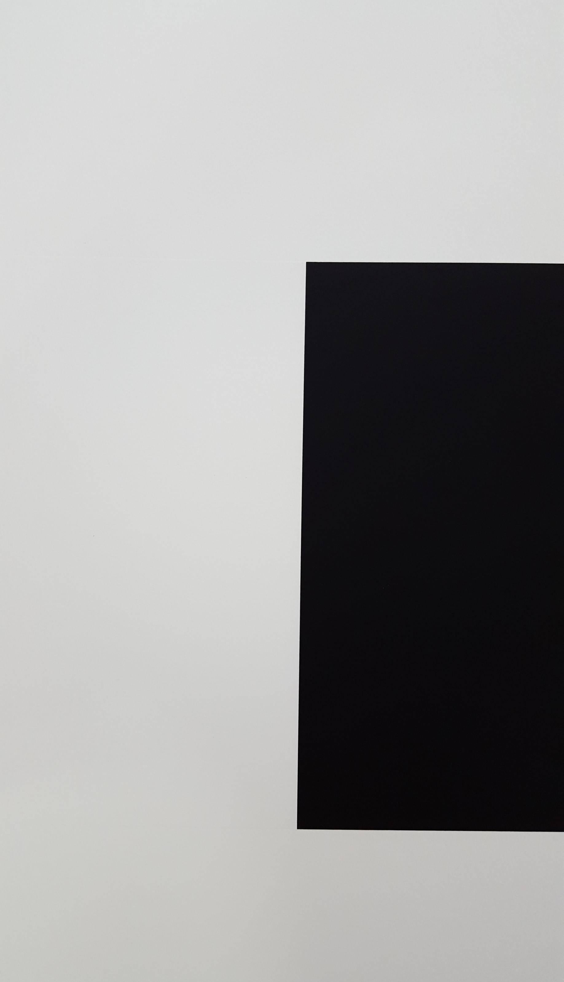 White and Black - Gray Abstract Print by Ellsworth Kelly