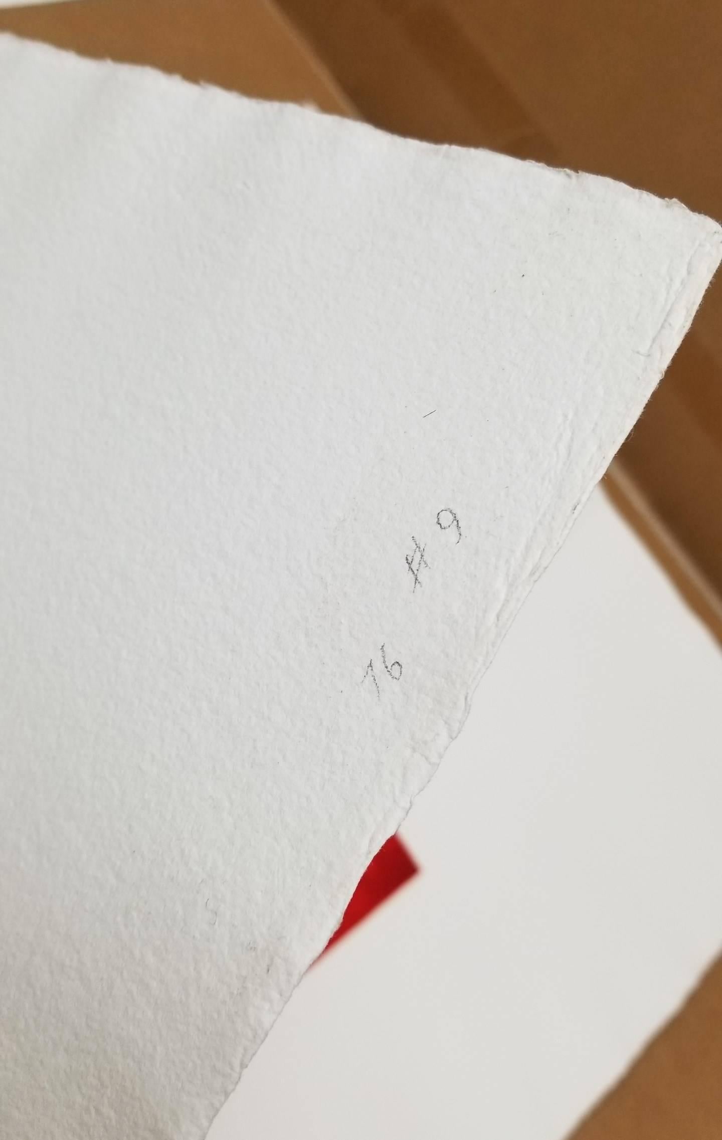 Untitled (Phoenician Red) (M76-9) 4