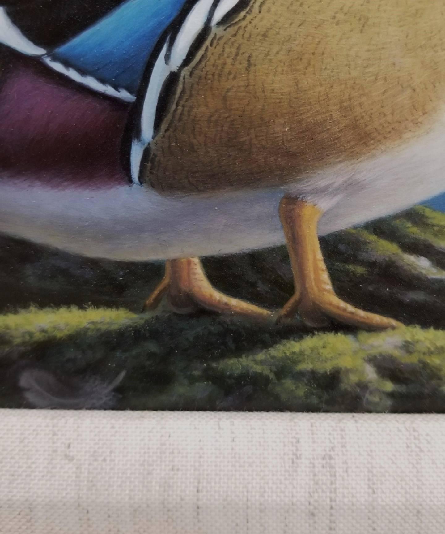 Wood Ducks /// Contemporary Wildlife Animal Bird Ornithology Painting Waterscape For Sale 1