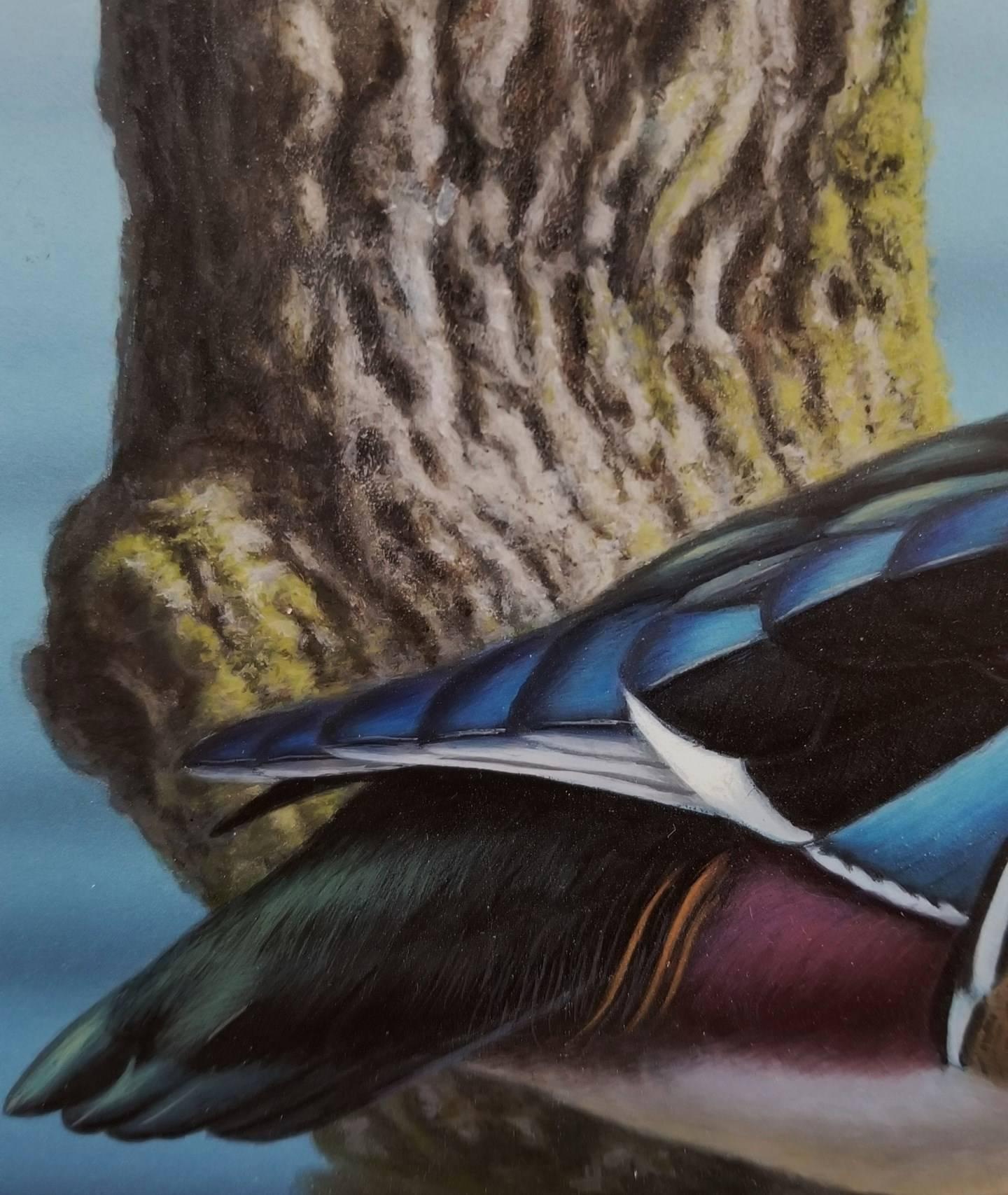 Wood Ducks /// Contemporary Wildlife Animal Bird Ornithology Painting Waterscape For Sale 2