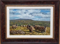 Towards Penhill with Swaledale Sheep