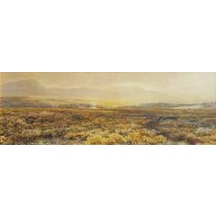 Extensive Moorland Landscape 7