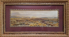 Extensive Moorland Landscape