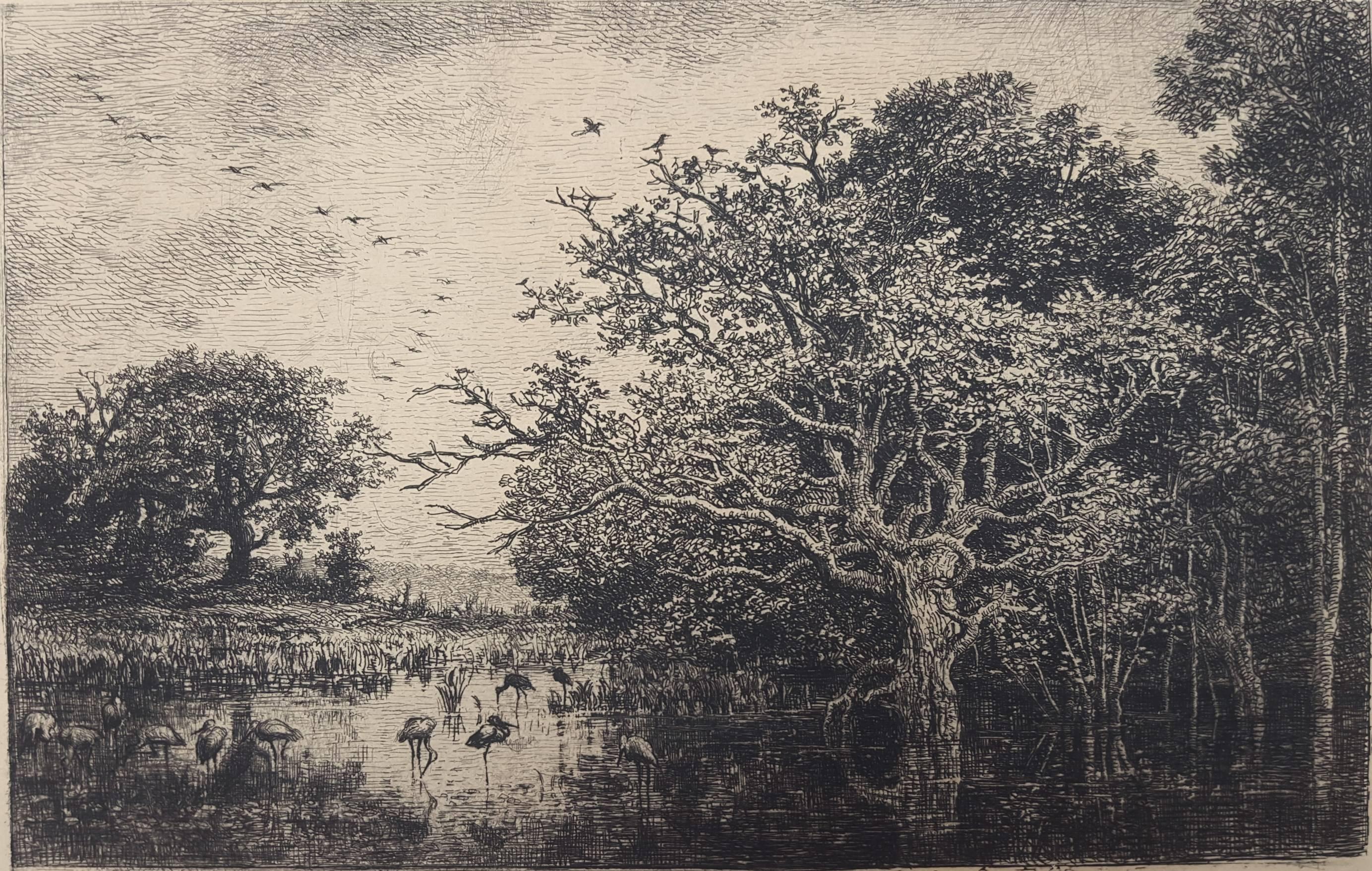 Charles François Daubigny Landscape Print - Le Marais (Aux Cigones)