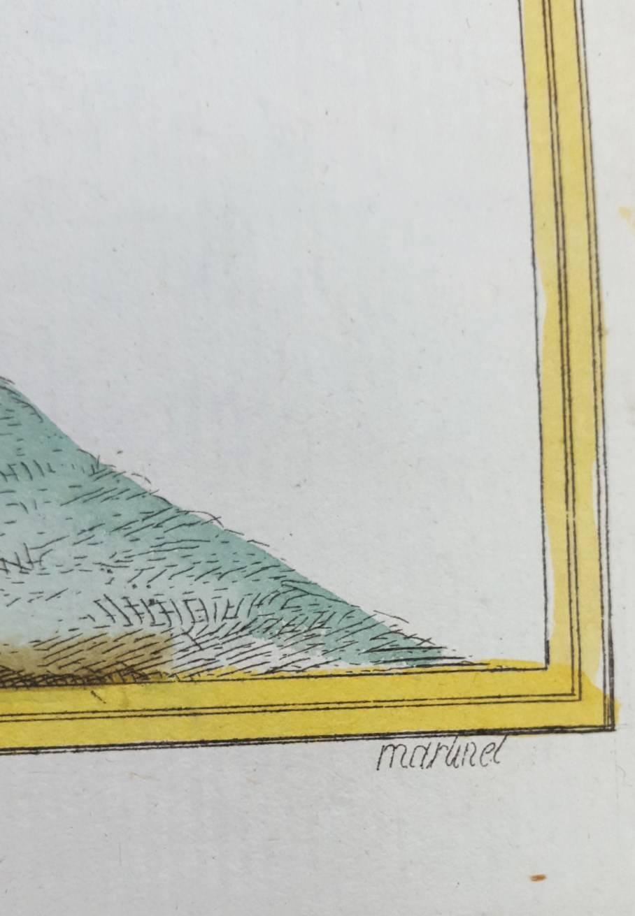Le Millouinan /// Ornithology Martinet Vogel Tier Kunst Enten Naturgeschichte  (Grau), Animal Print, von Francois Nicolas Martinet