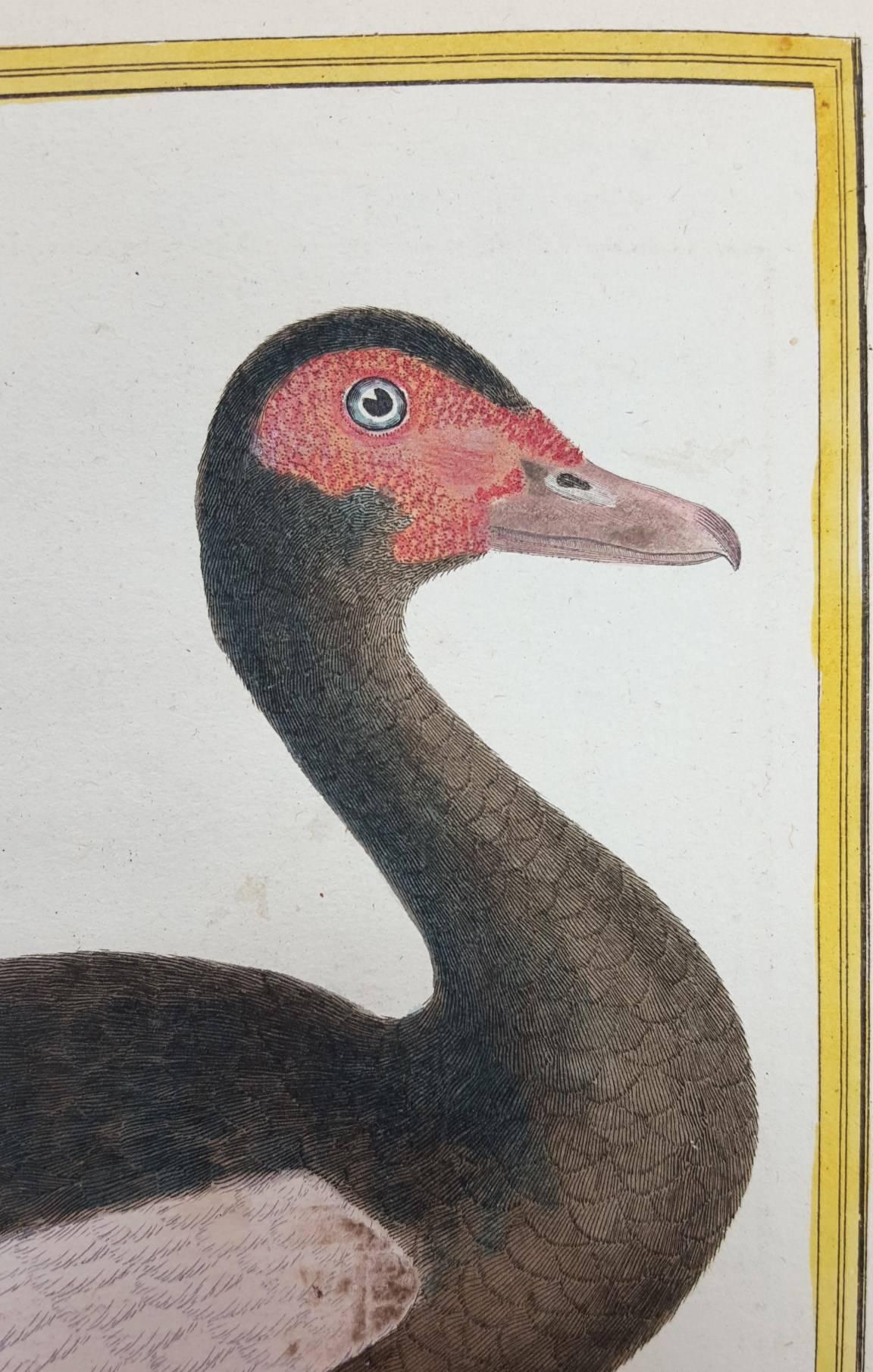 An original copper plate engraving with original hand color by French artist François-Nicolas Martinet (1731-1800) titled 