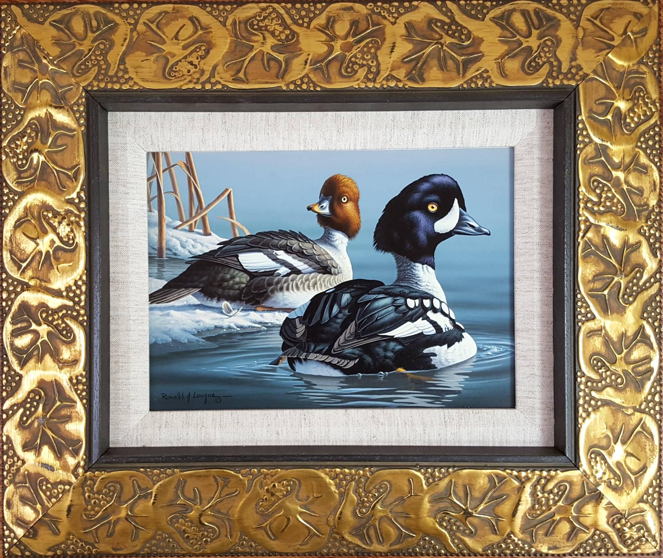 Garrot d'Islande /// Canard Contemporain Oiseau Faune Ornithologie Peinture Art - Painting de Ron Louque