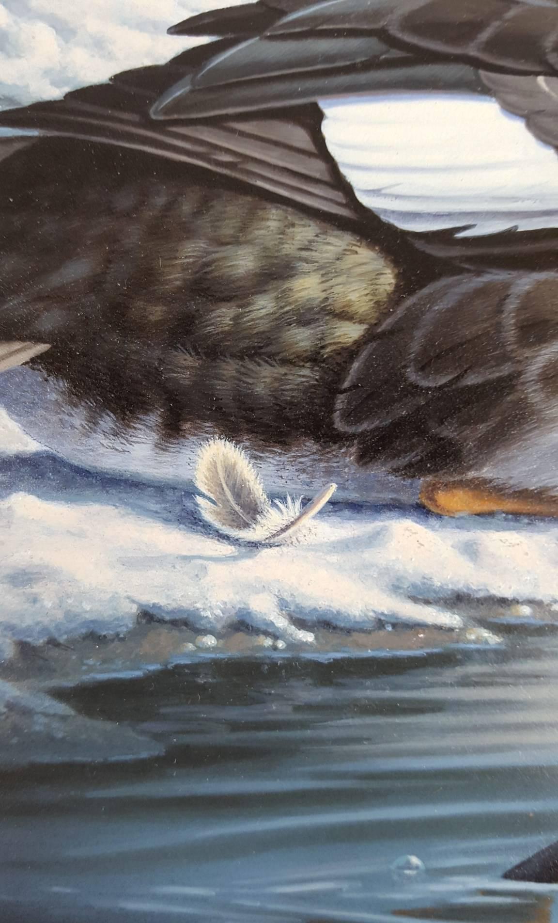 Garrot d'Islande /// Canard Contemporain Oiseau Faune Ornithologie Peinture Art en vente 3