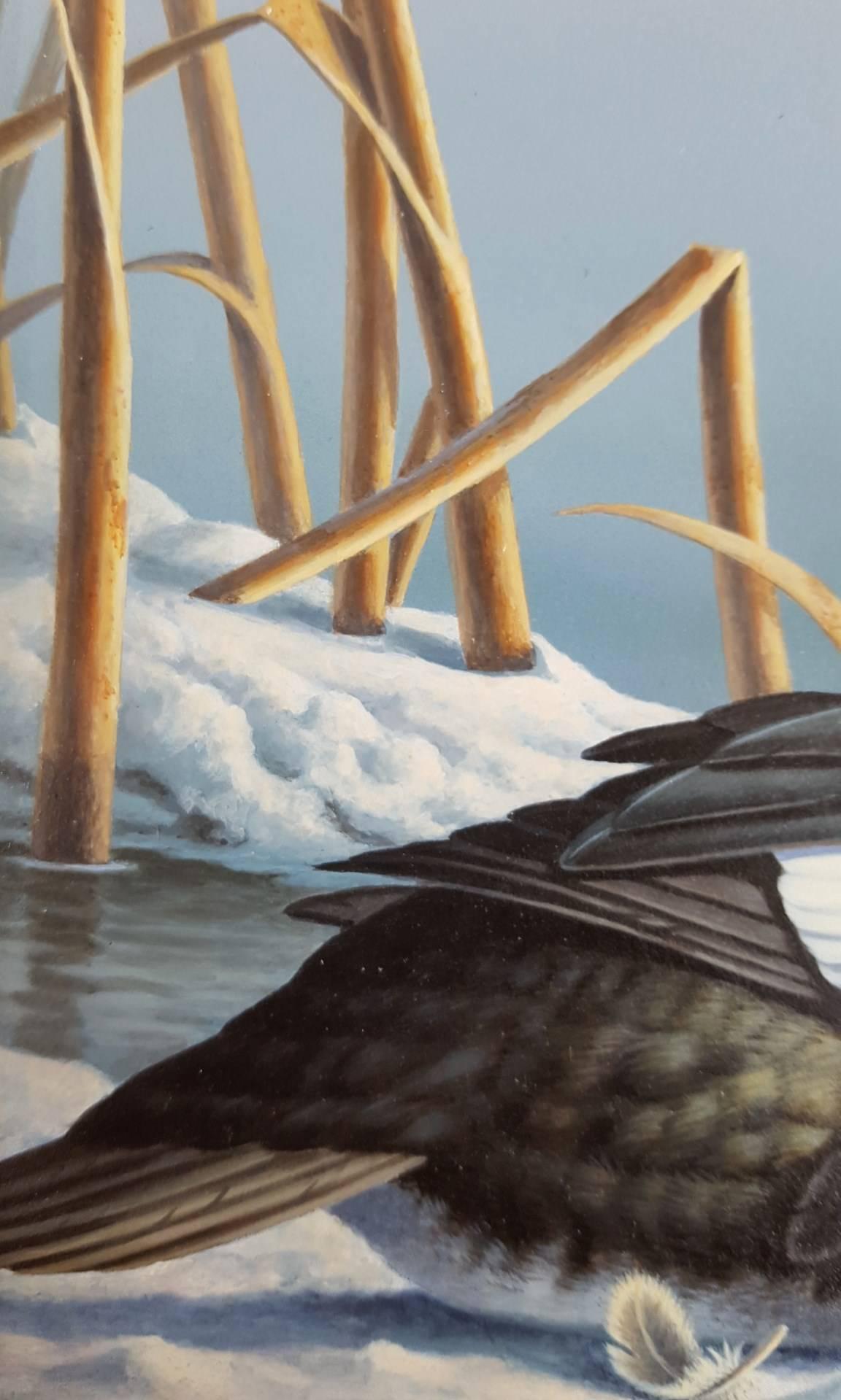 Garrot d'Islande /// Canard Contemporain Oiseau Faune Ornithologie Peinture Art en vente 5