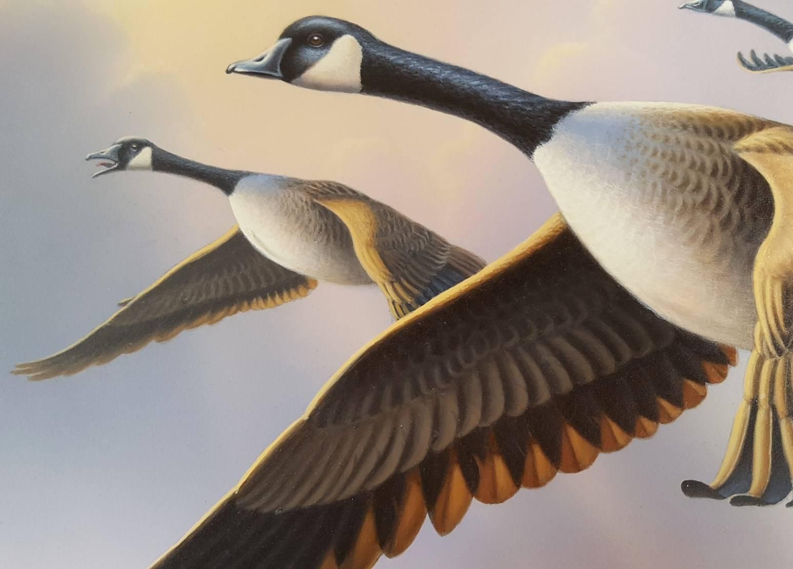 Canada Geese /// Contemporary Duck Bird Wildlife Ornithology Painting Animal Art For Sale 2
