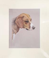 Patience /// Artista Británica Contemporánea Acuarela Perro Animal Mascota Arte