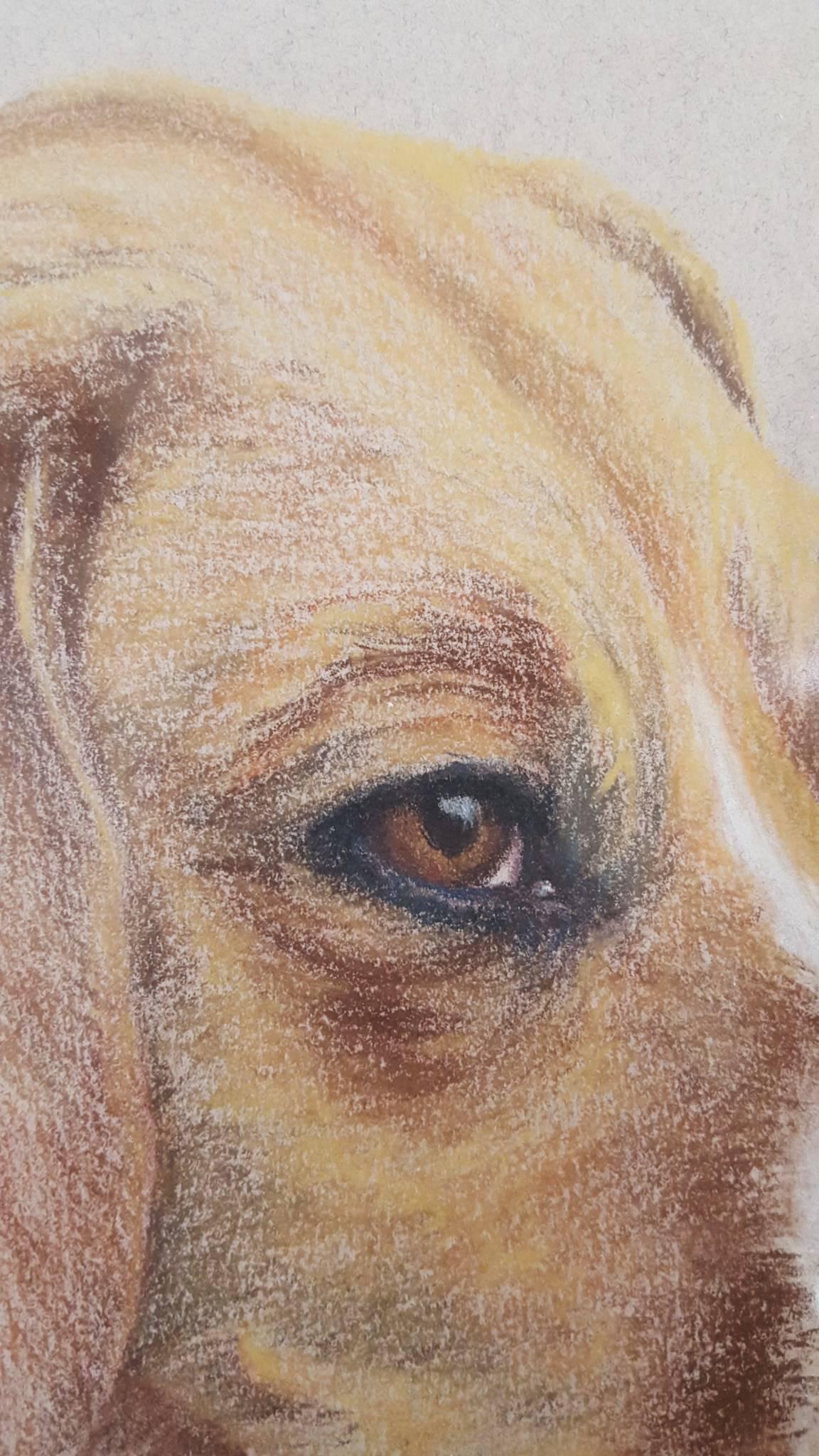 Patience /// Femme artiste britannique contemporaine Aquarelle Chien Animal Pet Art en vente 3