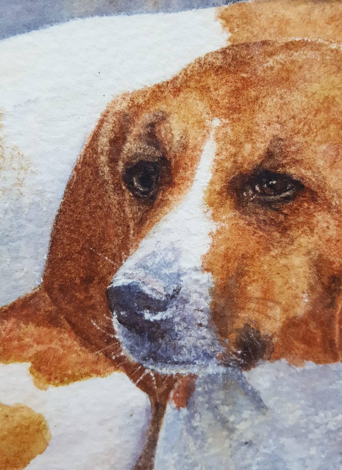 Segugi addormentati /// Artista britannica contemporanea di sesso femminile che dipinge ad acquerello cani e animali 3