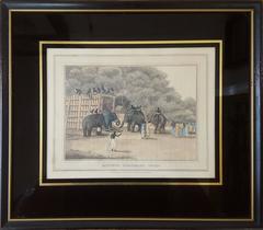 Hindoo Elephant Trap