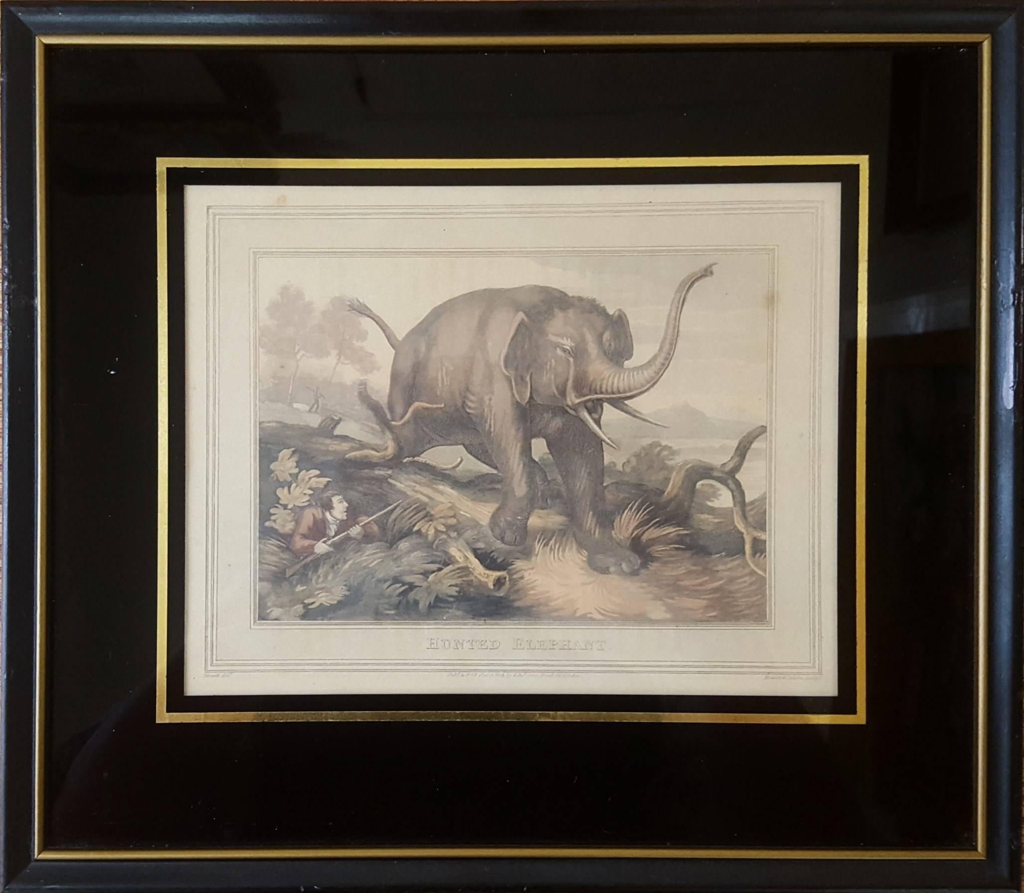 Hunted Elephant - Print by Samuel Howitt