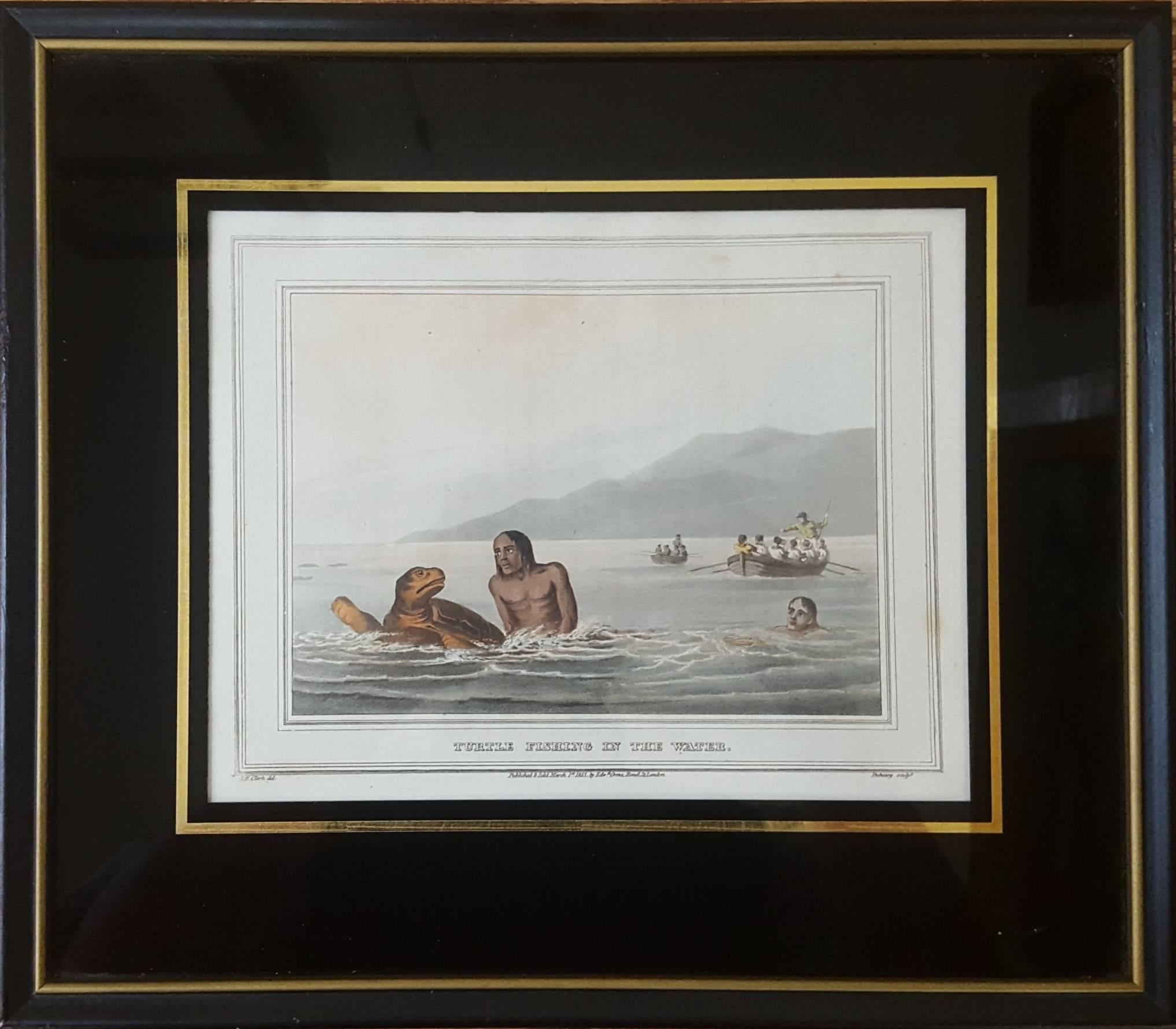 Turtle Fishing in the Water - Print by Samuel Howitt